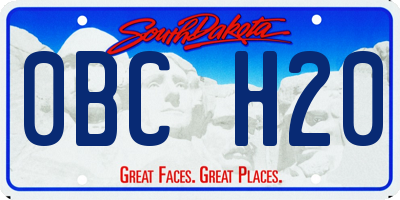 SD license plate 0BCH20