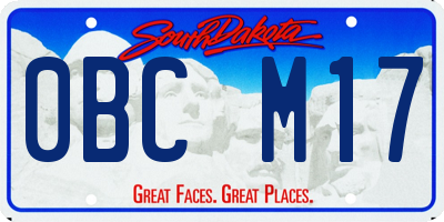 SD license plate 0BCM17