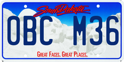 SD license plate 0BCM36