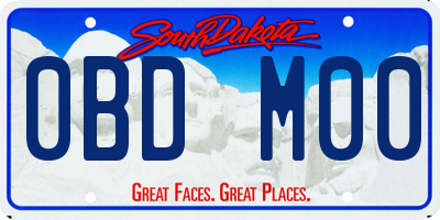 SD license plate 0BDM00