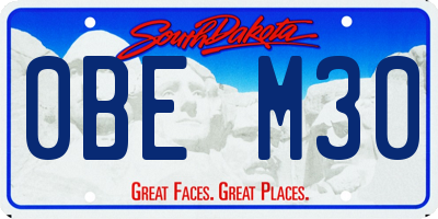 SD license plate 0BEM30