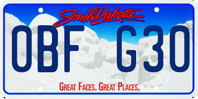 SD license plate 0BFG30