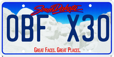 SD license plate 0BFX30
