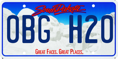 SD license plate 0BGH20