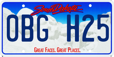 SD license plate 0BGH25