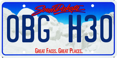 SD license plate 0BGH30