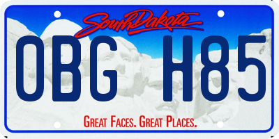SD license plate 0BGH85