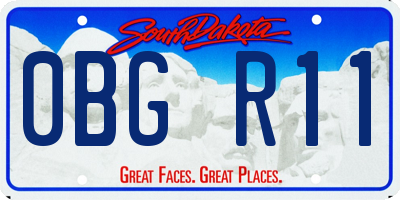 SD license plate 0BGR11