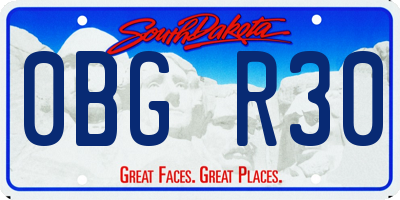 SD license plate 0BGR30