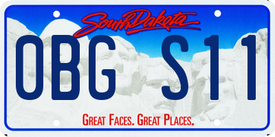 SD license plate 0BGS11