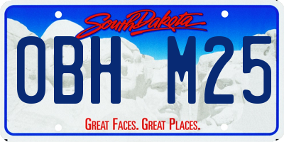SD license plate 0BHM25