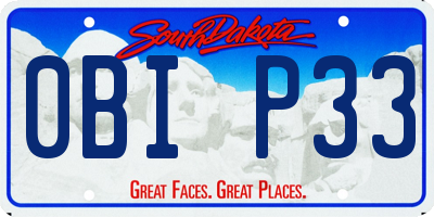 SD license plate 0BIP33