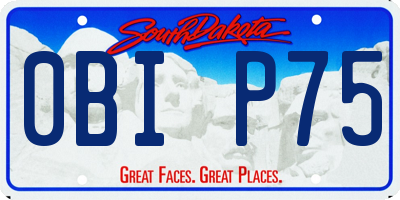 SD license plate 0BIP75
