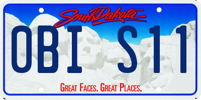 SD license plate 0BIS11
