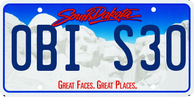 SD license plate 0BIS30