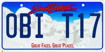 SD license plate 0BIT17
