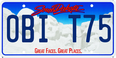 SD license plate 0BIT75