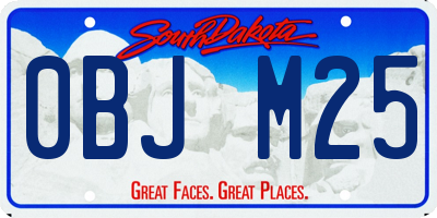 SD license plate 0BJM25
