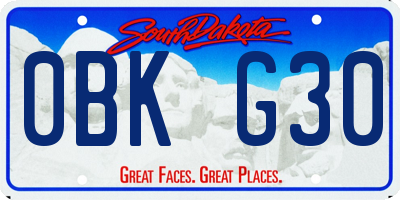 SD license plate 0BKG30