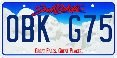 SD license plate 0BKG75