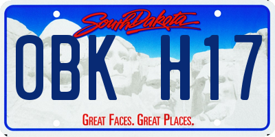 SD license plate 0BKH17