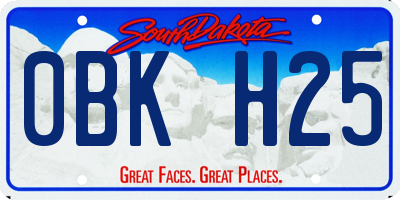 SD license plate 0BKH25