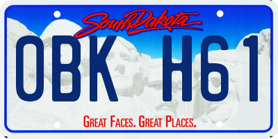SD license plate 0BKH61