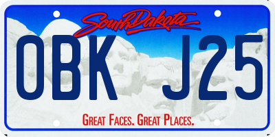 SD license plate 0BKJ25