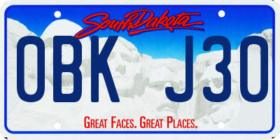 SD license plate 0BKJ30