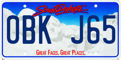 SD license plate 0BKJ65
