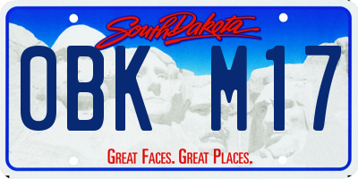 SD license plate 0BKM17