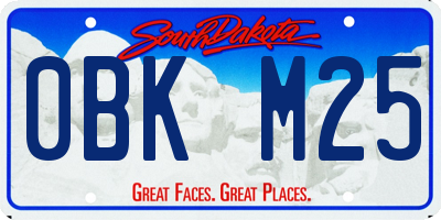 SD license plate 0BKM25