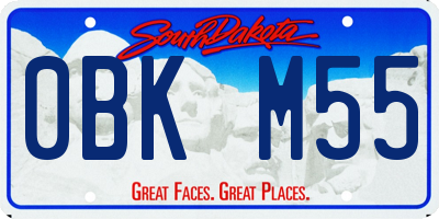 SD license plate 0BKM55