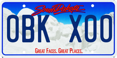 SD license plate 0BKX00