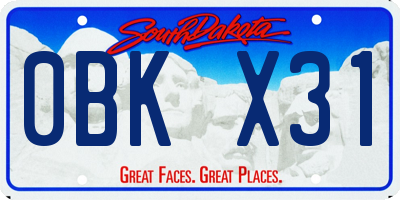 SD license plate 0BKX31