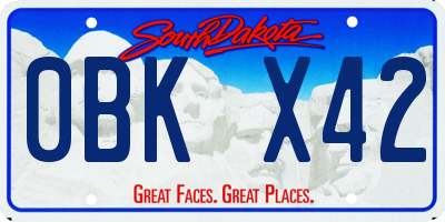 SD license plate 0BKX42