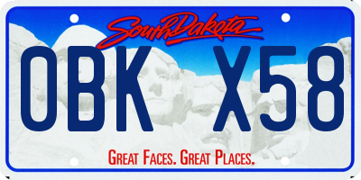 SD license plate 0BKX58