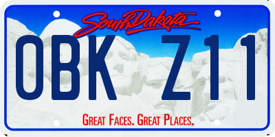 SD license plate 0BKZ11