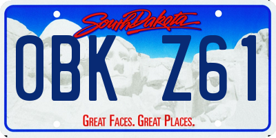 SD license plate 0BKZ61
