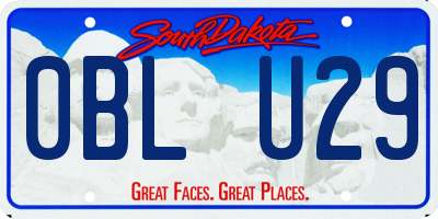 SD license plate 0BLU29
