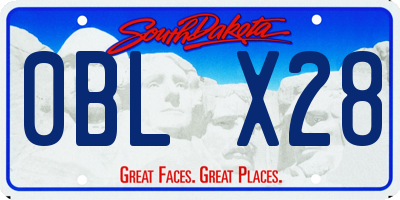 SD license plate 0BLX28