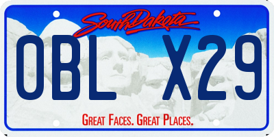 SD license plate 0BLX29