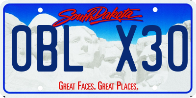 SD license plate 0BLX30