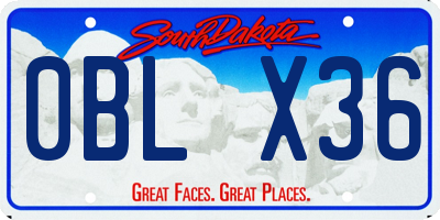 SD license plate 0BLX36