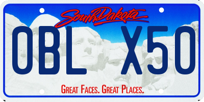 SD license plate 0BLX50