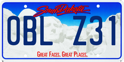 SD license plate 0BLZ31