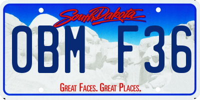 SD license plate 0BMF36
