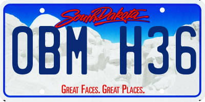 SD license plate 0BMH36