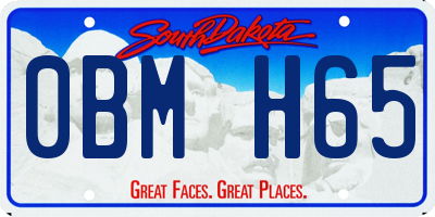 SD license plate 0BMH65