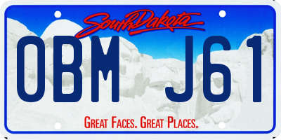 SD license plate 0BMJ61